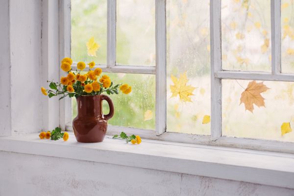 Old Window Repair - Old Window Repair Portland, Oregon