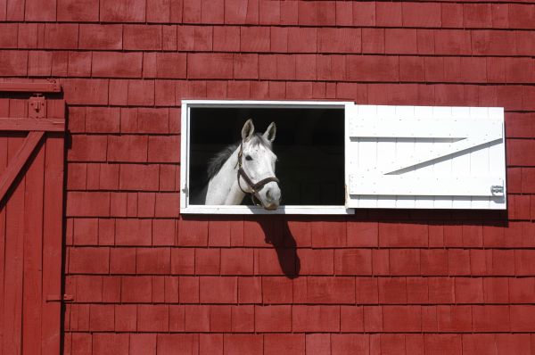 Barn Window Installation - Barn Window Installation Panama City, Florida