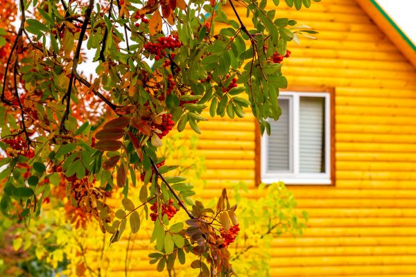 Garden Window Replacement - Garden Window Replacement Pinellas County, Florida